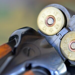 michigan felony firearm penalites